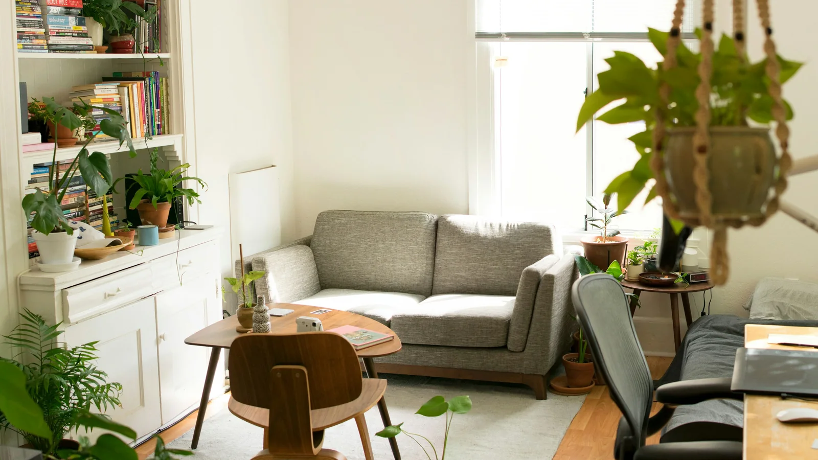 Heller, überschaubarer Wohnraum mit Sofa, Tisch, Büchern und Pflanzen